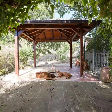 Stunning In Holiday home Colobraro